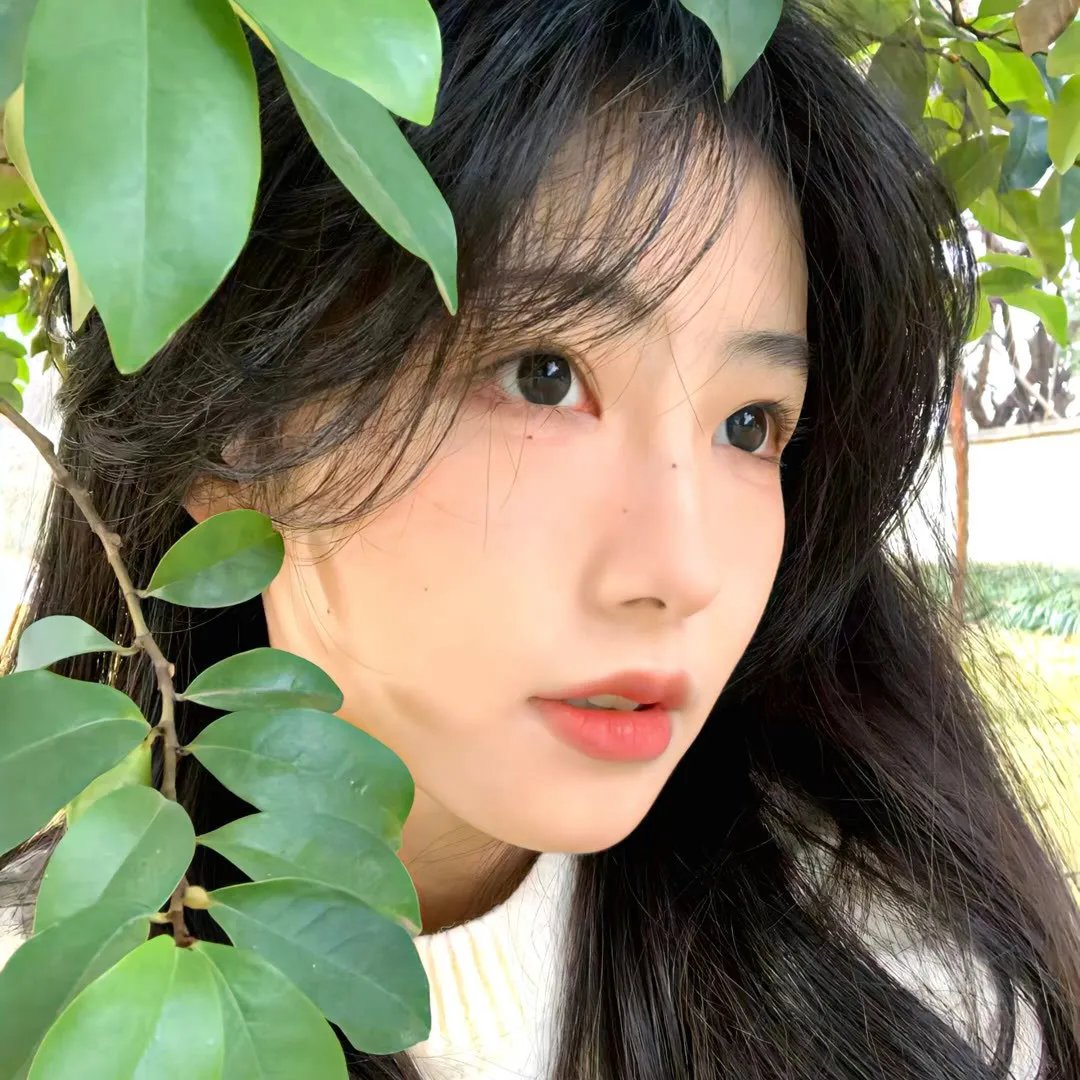 幕后玩家国语